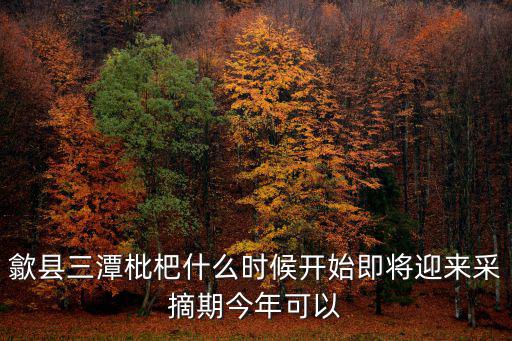 歙縣三潭枇杷什么時候開始即將迎來采摘期今年可以