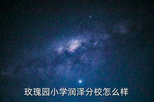 玫瑰園小學，玫瑰園小學潤澤分校怎么樣