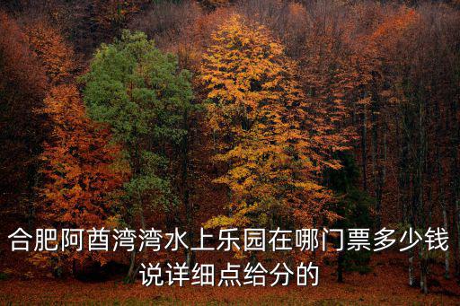 合肥阿酋灣灣水上樂園在哪門票多少錢說詳細點給分的