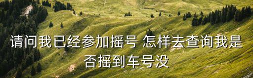 請問我已經參加搖號 怎樣去查詢我是否搖到車號沒