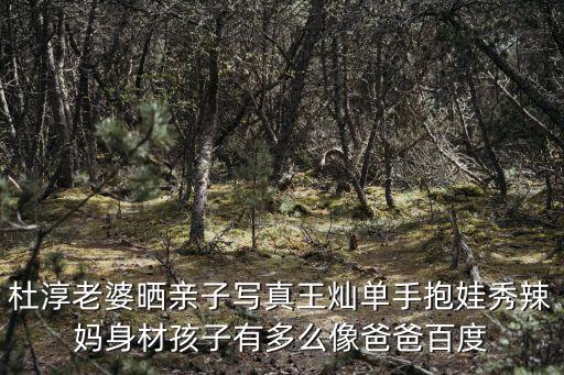 杜淳老婆曬親子寫真王燦單手抱娃秀辣媽身材孩子有多么像爸爸百度