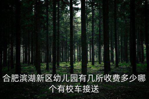 合肥濱湖新區幼兒園有幾所收費多少哪個有校車接送