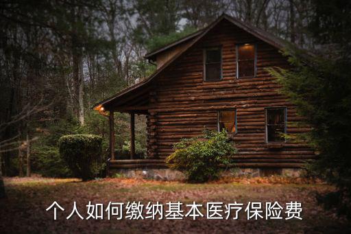 個人如何繳納基本醫療保險費