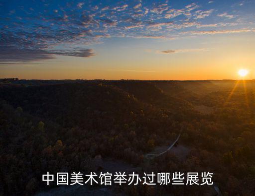 中國美術館舉辦過哪些展覽