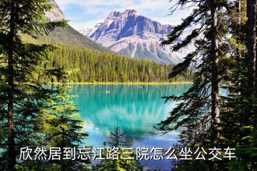 欣然居到忘江路三院怎么坐公交車