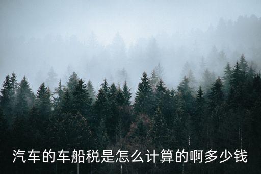 汽車的車船稅是怎么計算的啊多少錢