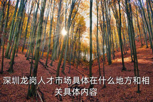 深圳龍崗人才市場具體在什么地方和相關具體內容