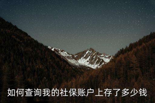 社保查詢余額，社會保障卡是怎么查詢余額