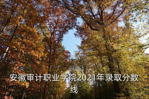 安徽審計職業學院2021年錄取分數線