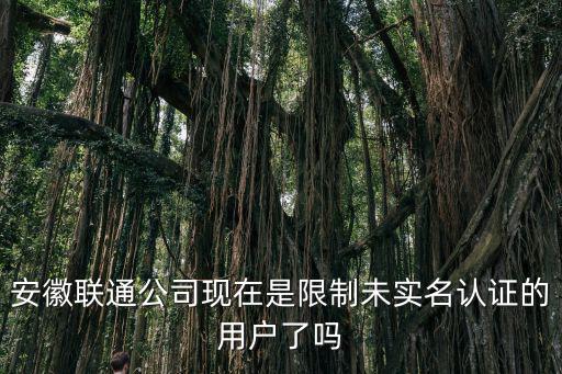 安徽聯通公司現在是限制未實名認證的用戶了嗎