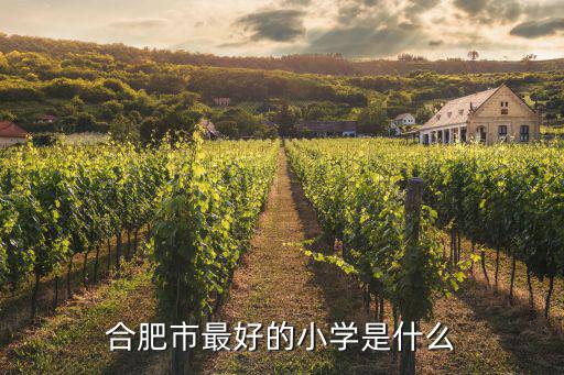 合肥市最好的小學是什么
