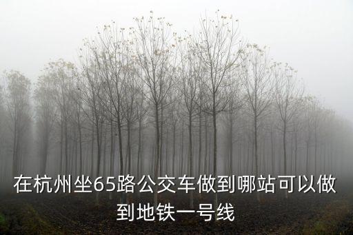 65路，在杭州坐65路公交車做到哪站可以做到地鐵一號線