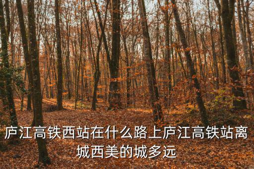 廬江高鐵西站在什么路上廬江高鐵站離城西美的城多遠