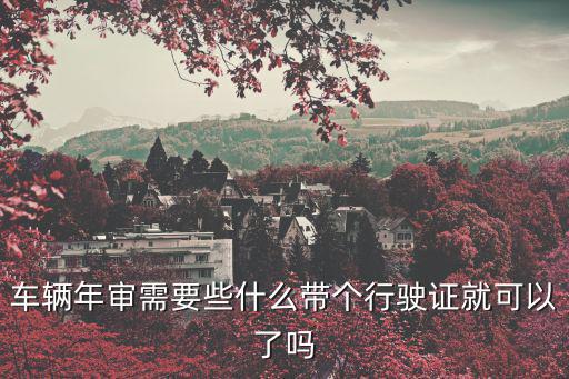 車輛年審需要些什么帶個行駛證就可以了嗎