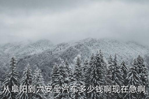 從阜陽到六安坐汽車多少錢啊現(xiàn)在急啊