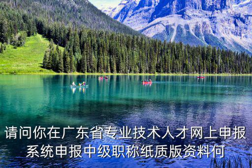 廣東省專業技術人才網上申報系統，請問你在廣東省專業技術人才網上申報系統申報中級職稱紙質版資料何