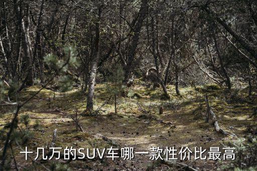 十幾萬的SUV車哪一款性價比最高