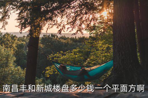南昌豐和新城樓盤多少錢一個平面方啊