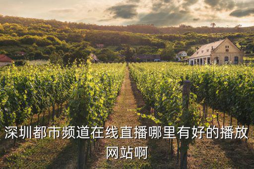 深圳都市頻道在線直播哪里有好的播放網站啊
