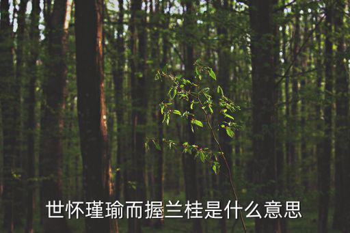 世懷瑾瑜而握蘭桂是什么意思