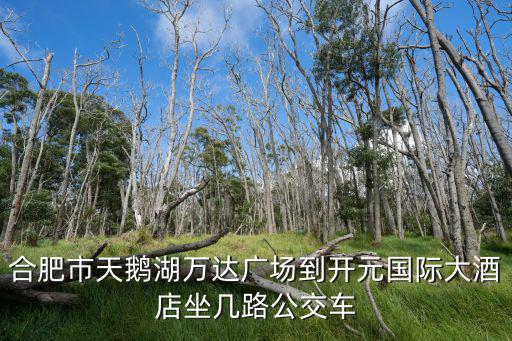 合肥市天鵝湖萬達(dá)廣場(chǎng)到開元國際大酒店坐幾路公交車