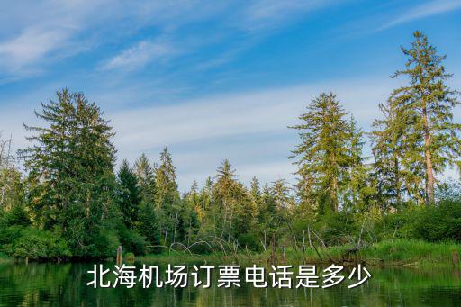 北海機場訂票電話是多少