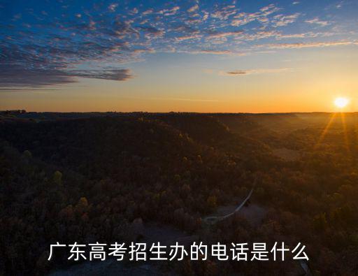 廣東高考招生辦的電話是什么