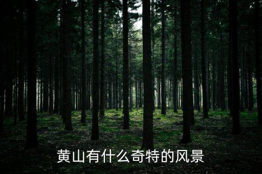 黃山有什么奇特的風景