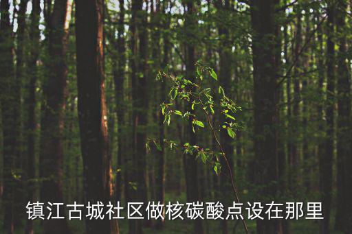 鎮江古城社區做核碳酸點設在那里