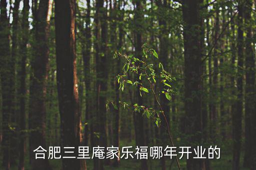 合肥家樂福，合肥家樂福超市地址
