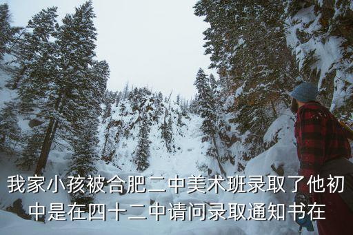 我家小孩被合肥二中美術班錄取了他初中是在四十二中請問錄取通知書在