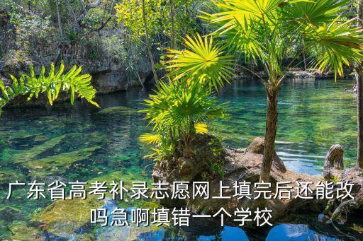 廣東省高考補錄志愿網上填完后還能改嗎急啊填錯一個學校