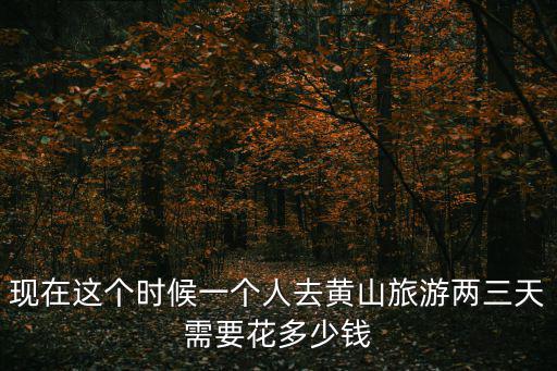 現在這個時候一個人去黃山旅游兩三天需要花多少錢