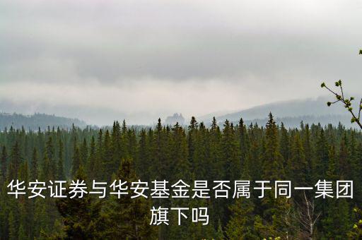 華安證券與華安基金是否屬于同一集團旗下嗎