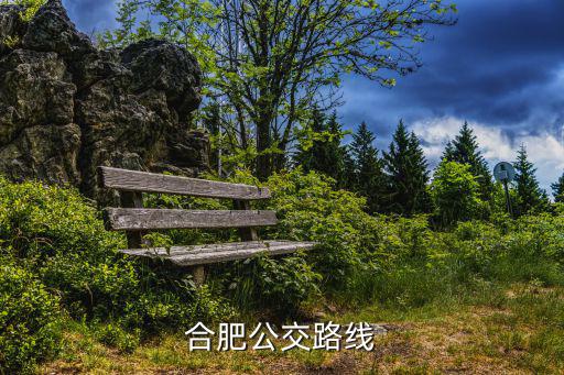 合肥公交路線