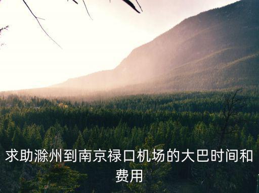 滁州機(jī)場(chǎng)，滁州市民用機(jī)場(chǎng)選址在那里