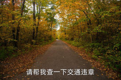 請幫我查一下交通違章