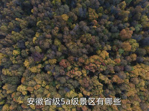 安徽5a景區名單，安徽5A級風景區有哪些急