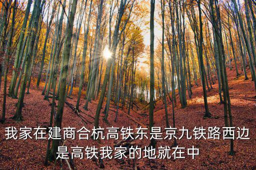 我家在建商合杭高鐵東是京九鐵路西邊是高鐵我家的地就在中
