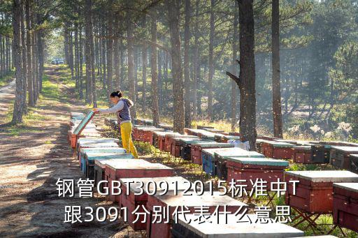 鋼管GBT30912015標準中T跟3091分別代表什么意思