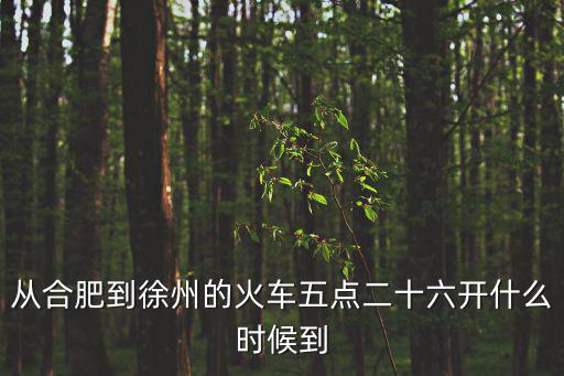 從合肥到徐州的火車五點二十六開什么時候到