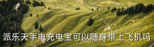 派樂天手電充電寶可以隨身帶上飛機(jī)嗎