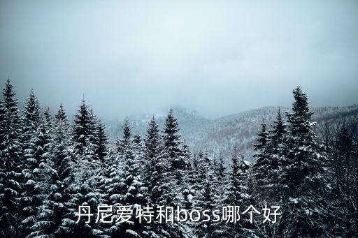 丹尼愛特和boss哪個好