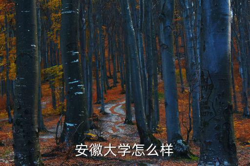 安徽大學怎么樣