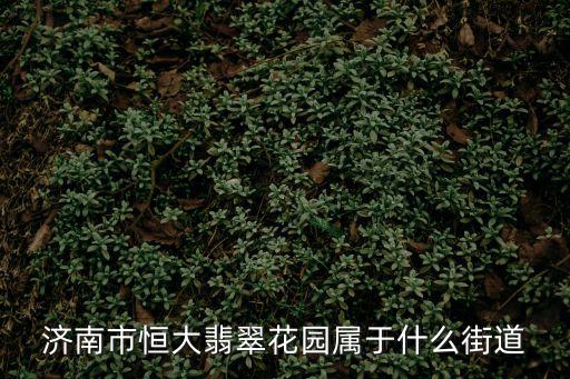 濟南市恒大翡翠花園屬于什么街道
