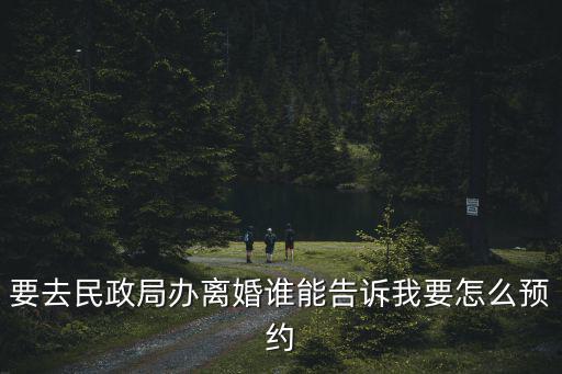要去民政局辦離婚誰能告訴我要怎么預約