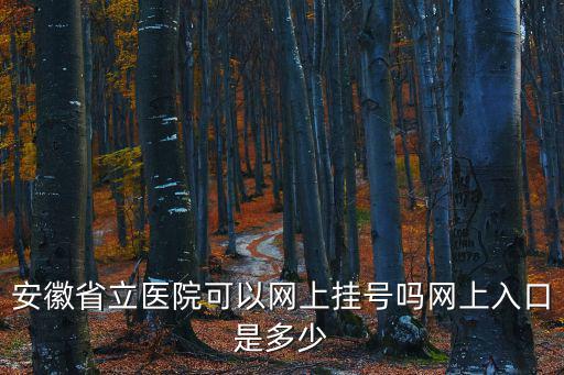 安徽省立醫(yī)院可以網上掛號嗎網上入口是多少