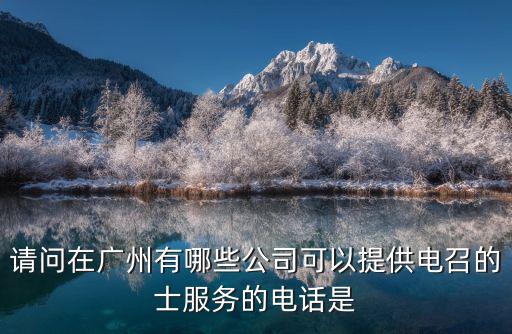 請(qǐng)問(wèn)在廣州有哪些公司可以提供電召的士服務(wù)的電話是