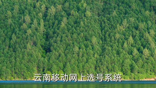 云南移動(dòng)網(wǎng)上選號(hào)系統(tǒng)