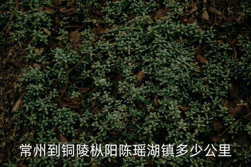 常州到銅陵樅陽陳瑤湖鎮(zhèn)多少公里